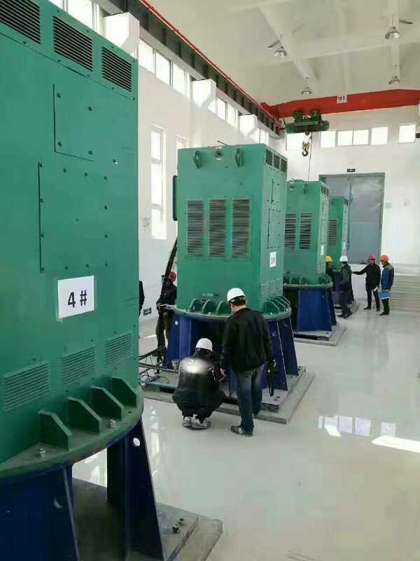 YKK5605-12某污水处理厂使用我厂的立式高压电机安装现场