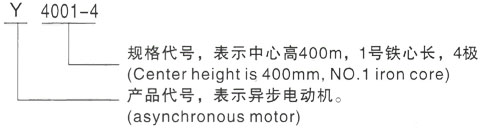 西安泰富西玛Y系列(H355-1000)高压YKK5605-12三相异步电机型号说明