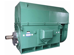 YKK5605-12Y系列6KV高压电机